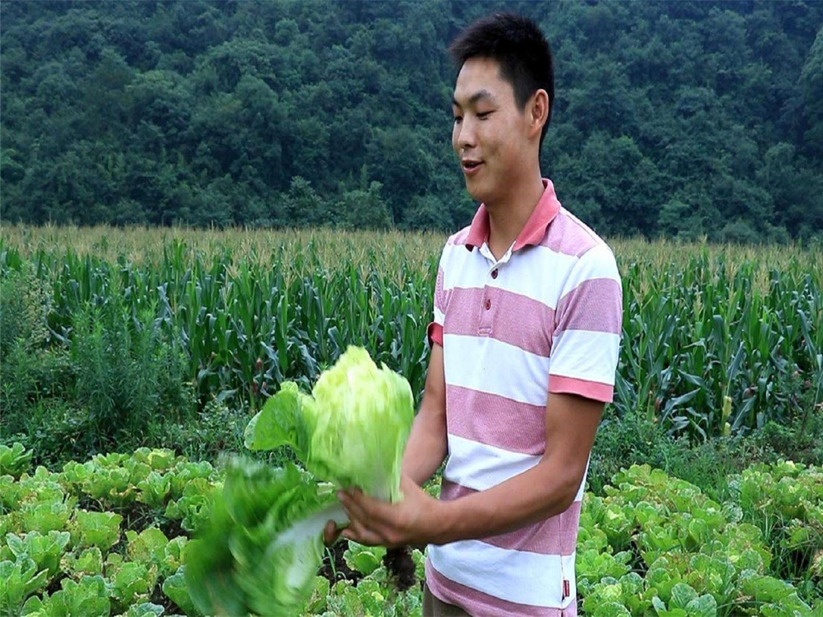 农村创业项目理由(选择创业项目的理由怎么写？)