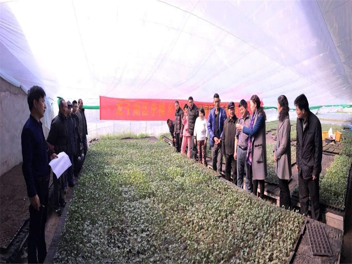 农村创业项目理由(选择创业项目的理由怎么写？)