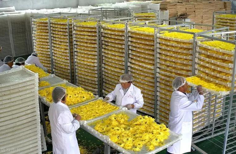 辣椒创业项目简介(想到农村办厂创业，有哪些项目投资小、见效快呢？)