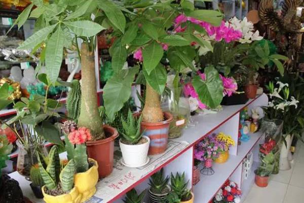 乡镇创业项目大全(适合乡镇开的十五种店)