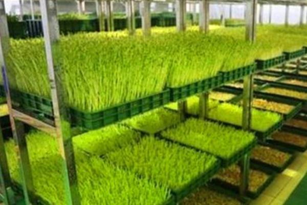 工作室创业项目2017(有什么适合工作室创业的项目吗？)