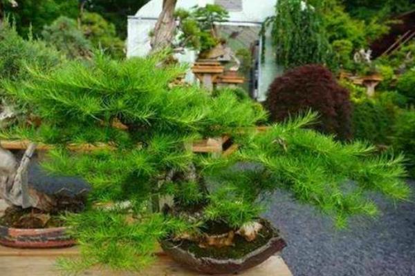 工作室创业项目2017(有什么适合工作室创业的项目吗？)