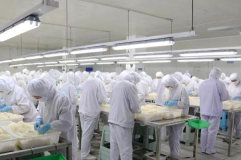 农村创业项目办小厂(适合在农村办的小型厂（农村可以办什么小型厂）)