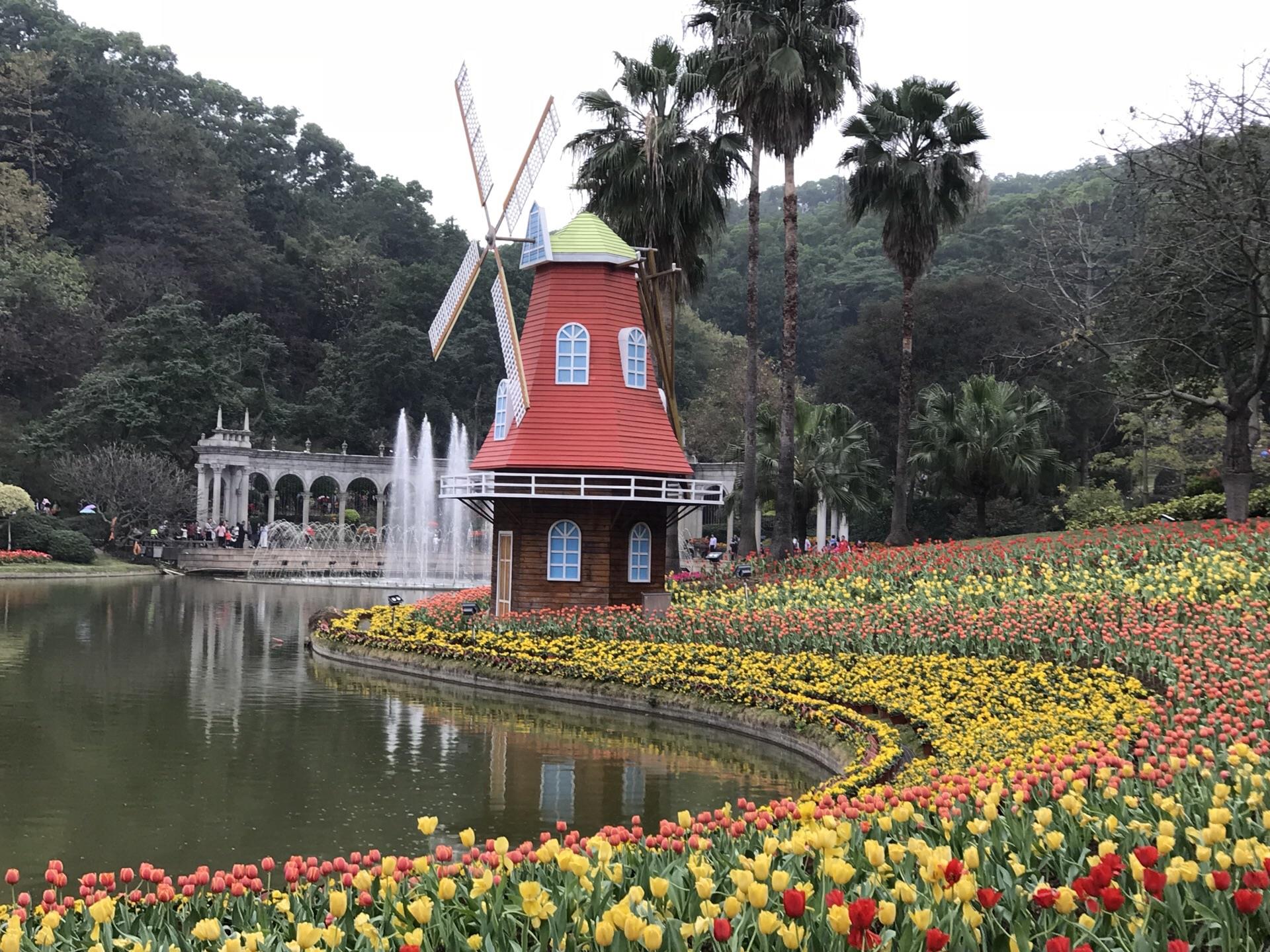 广州花城创业项目(广州花城创业投资管理有限公司怎么样？)