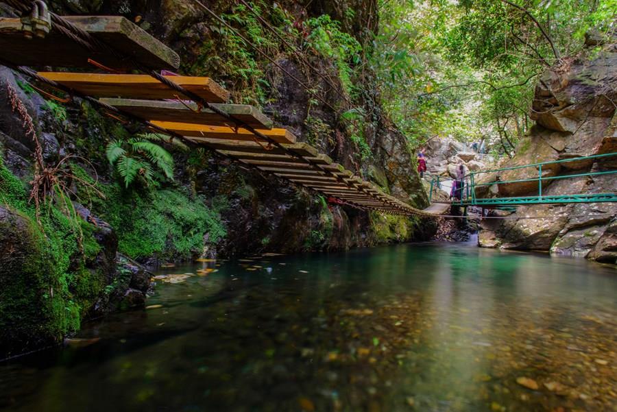 广州花城创业项目(广州花城创业投资管理有限公司怎么样？)