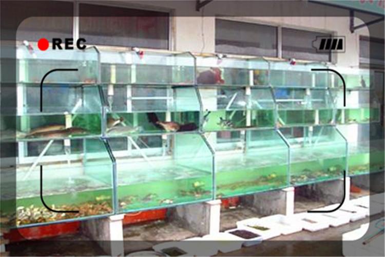 15年代理创业项目(2015年大学生创业项目推荐)