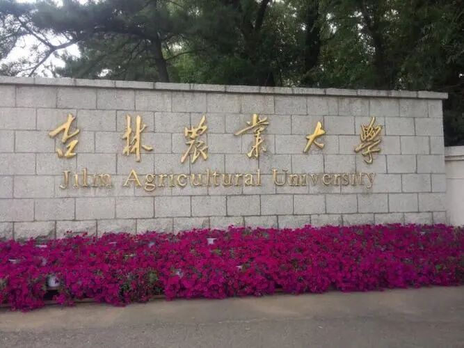 吉林创业项目(开厂创业项目有哪些)