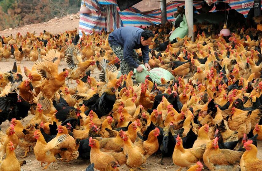 金塔农民创业项目(适合在农村做的25个项目)