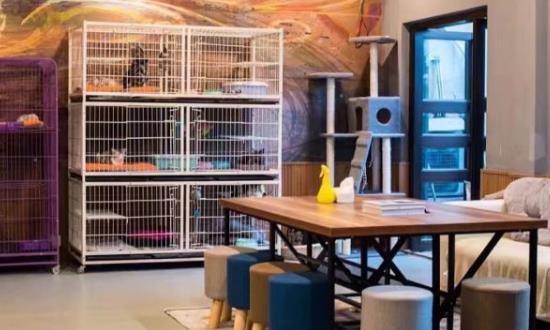 不用投资的创业项目(2022无本钱创业22种方法)