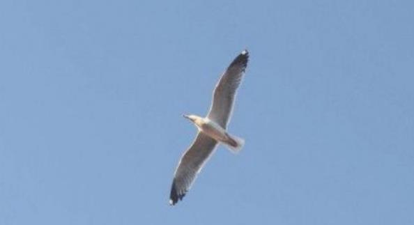 创业项目提问(创新创业大赛中，问答环节评委一般会提些什么问题呢？)