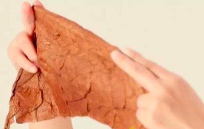 雪茄种植创业项目(雪茄种植一亩能赚多少钱)