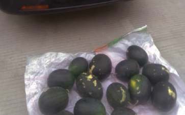 地摊创业项目PPT(五个适合摆摊的创业项目)