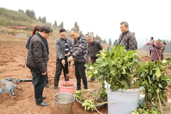 央视创业项目介绍(CCTV的讲创业的栏目叫什么名字？)