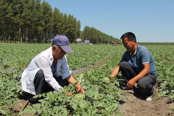 央视创业项目介绍(CCTV的讲创业的栏目叫什么名字？)