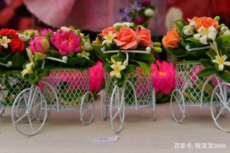 美女在家直播创业项目(如何在家做网络直播赚钱呢)