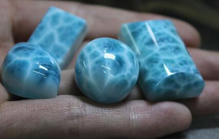 马术创业项目(哪些热门创业小项目可以尝试)