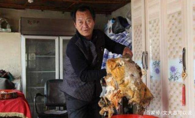 承德创业项目(本人家里是农村的，承德市围场县。想在家自己创业该干些什么好？挨着山，干养殖行吗？该养些什么)