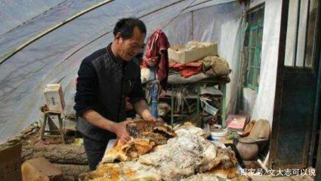 承德创业项目(本人家里是农村的，承德市围场县。想在家自己创业该干些什么好？挨着山，干养殖行吗？该养些什么)