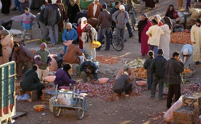 非洲创业项目(非洲是个比较落后的国家，随着“一带一路“的倡议，非洲有哪些商机？)