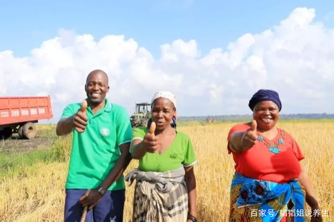 非洲创业项目(非洲是个比较落后的国家，随着“一带一路“的倡议，非洲有哪些商机？)
