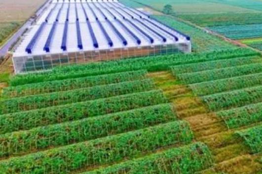 未来投资创业项目(未来创业好项目有哪些)