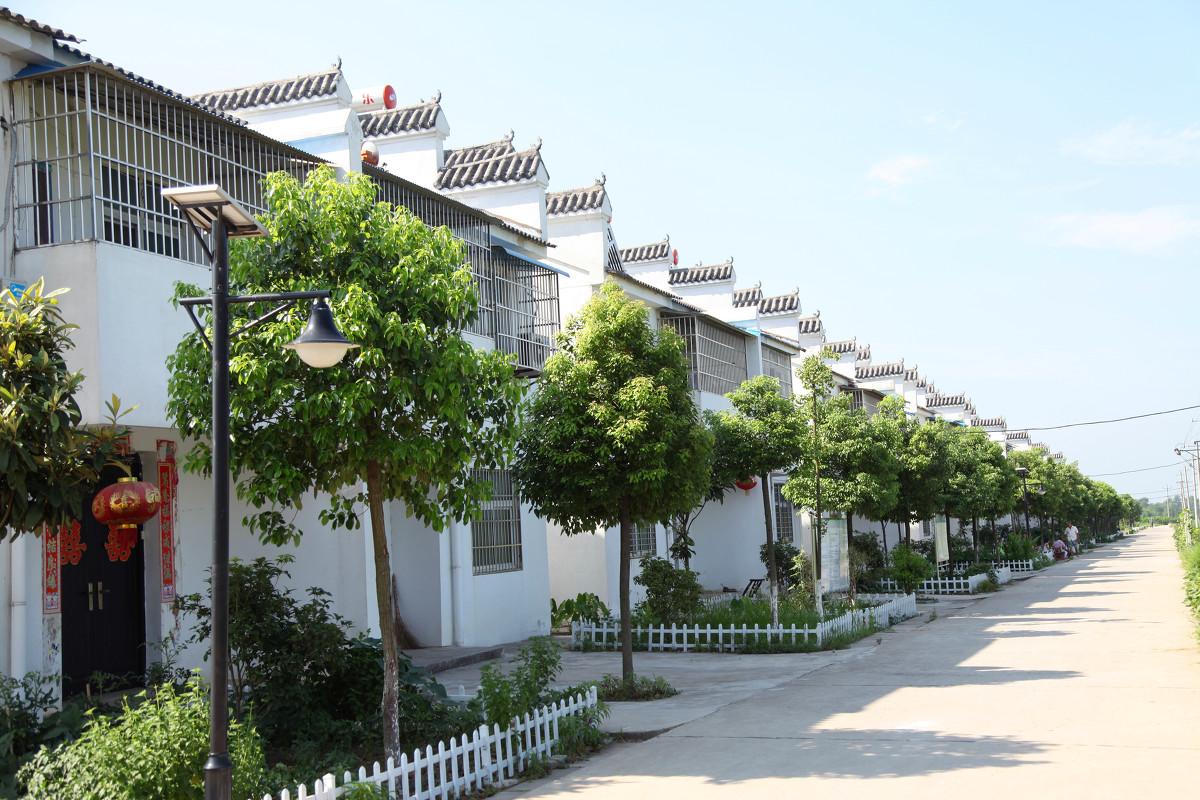 小米粒创业项目(米粒的米粒简介)