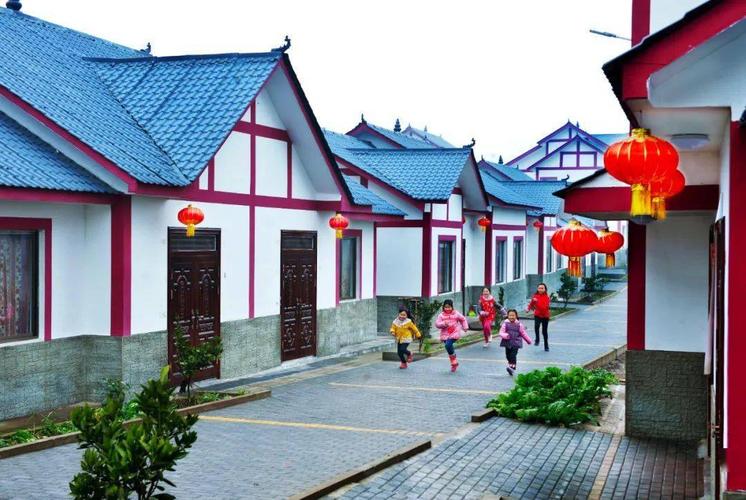 小米粒创业项目(米粒的米粒简介)