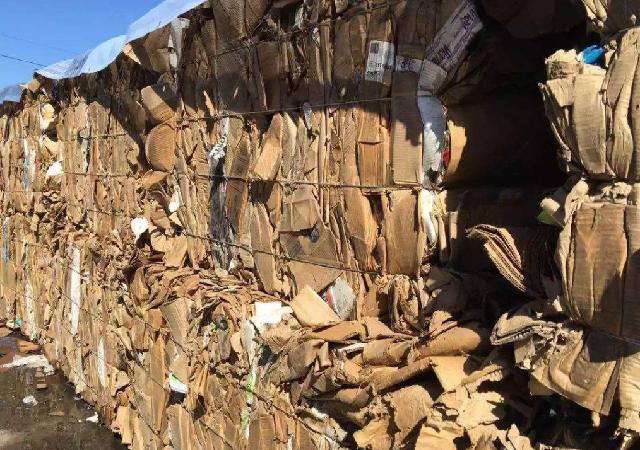 废纸回收创业项目(她靠“收废纸”起家，成中国首位女首富，张茵如今怎么样了？)