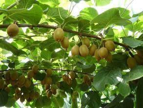 奇特创业项目(七个适合小本创业项目)