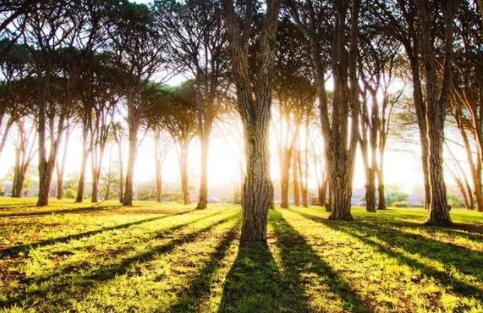 国家创业项目(国家扶持的创业项目是怎样的)