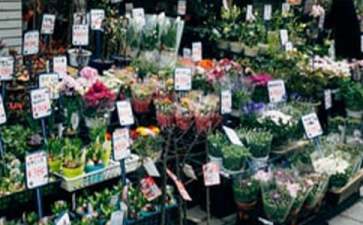 花店创业项目融资(实体花店创业计划书(2))