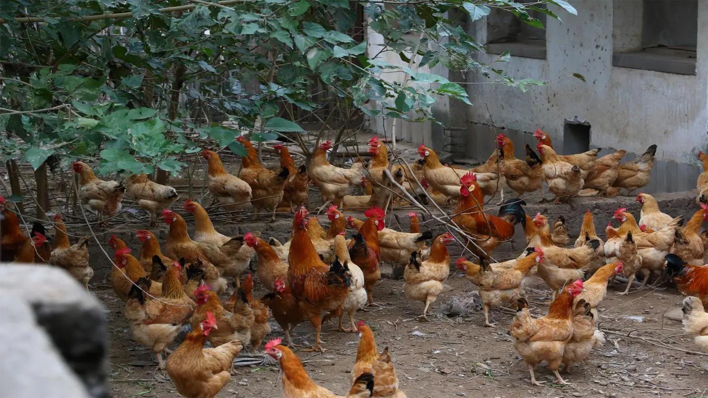 东山手机创业项目(手机创业选择什么项目比较好？)