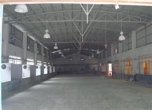 水培花卉创业项目(我想做水培生意，谁能给点意见)