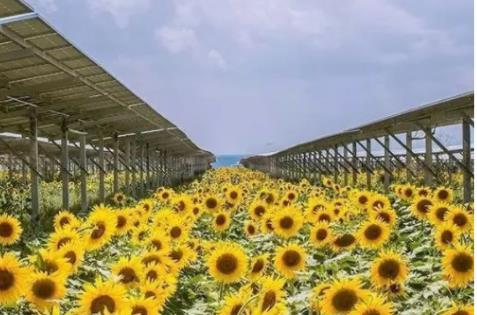 光伏工程创业项目(华能集团光伏发电项目有哪些？)