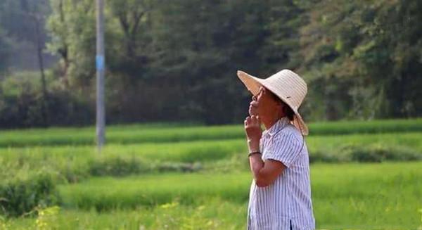 瓷板画创业项目(“抠门”老太每顿只吃泡面，5年攒6000万造瓷宫，现状如何？)