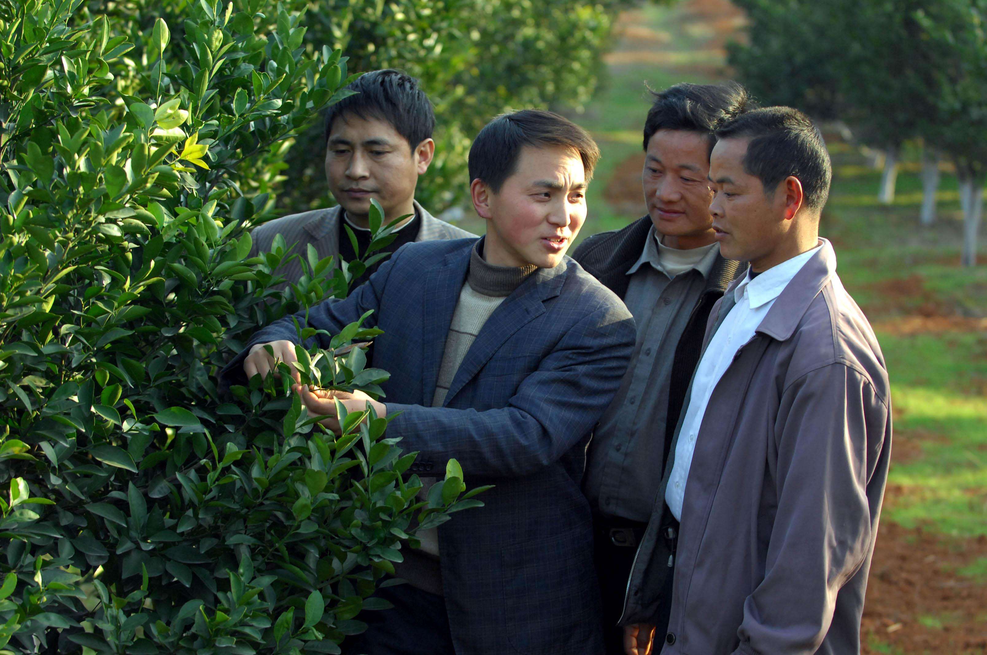 回乡创业项目缺乏(国家鼓励回乡农民创业，农民创业面临的问题有哪些？)