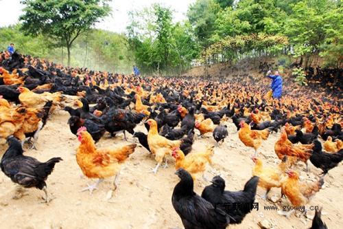 校园创业项目亏本(适合在校园的创业点子)