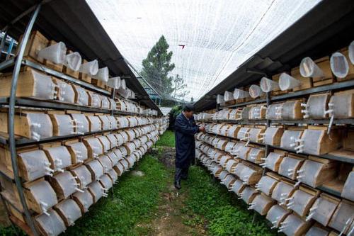 校园创业项目亏本(适合在校园的创业点子)