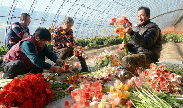 国家创业返乡创业项目(2022国家扶持农村创业最新消息，具体扶持哪些项目？)