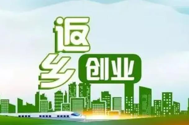 创业项目人才吸引(如何吸引创新型人才创业)