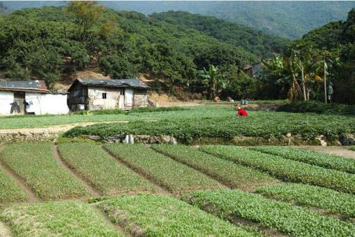 创业项目投稿图片(有哪些适合女生创业的小项目可以尝试？)