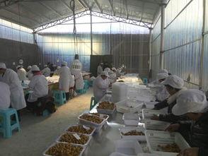 十万以内的创业项目(适合10万块创业的六大项目)