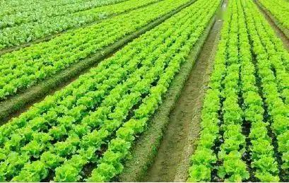 投资最少的创业项目(有什么小生意投资少又赚钱)