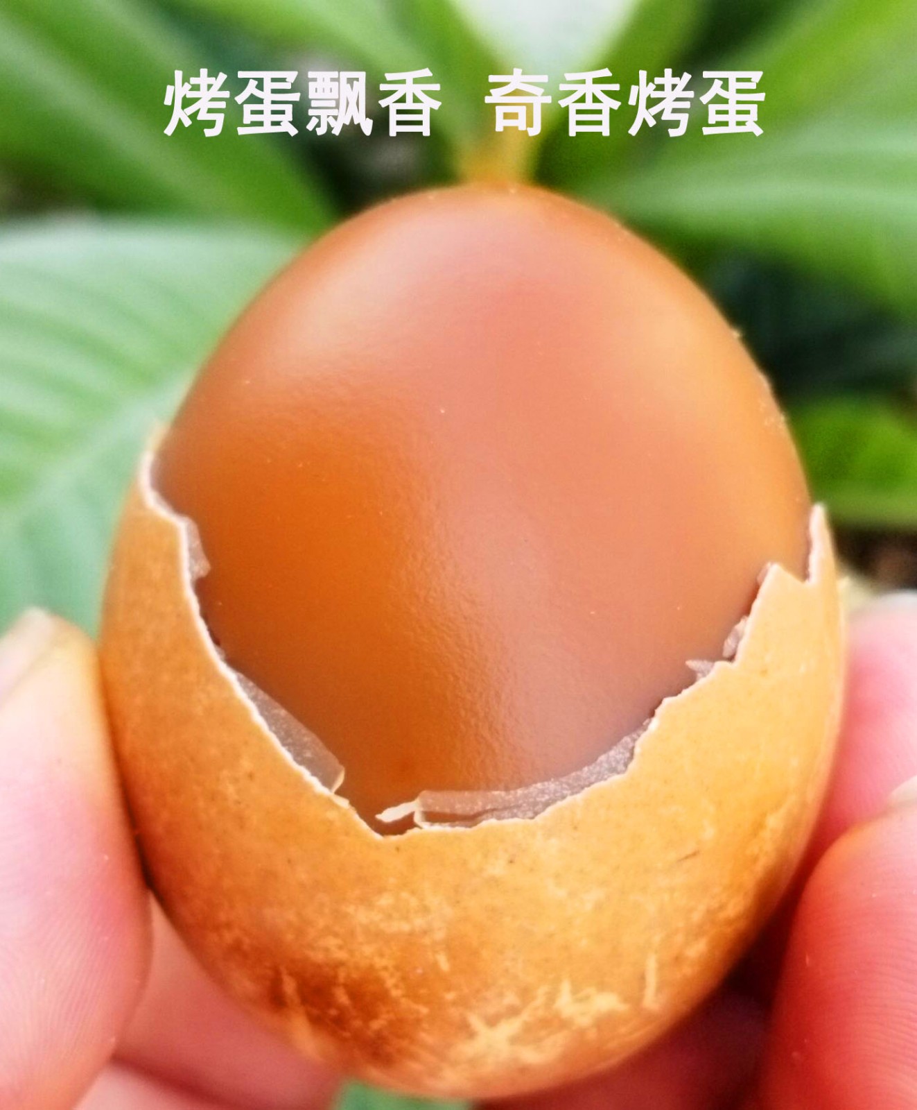 央视报道创业项目(有什么好的创业项目吗？)