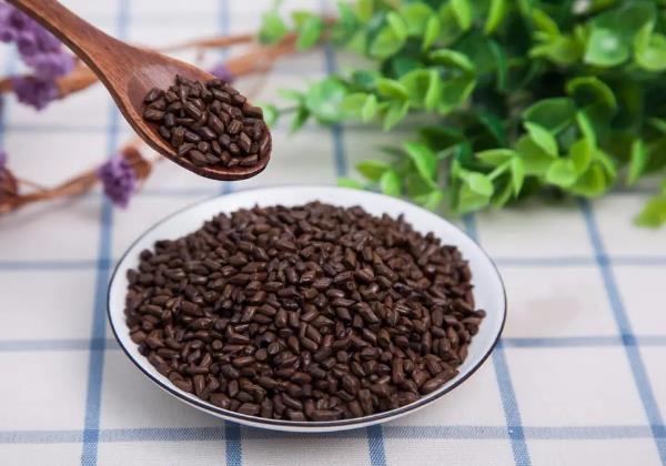 种植药材创业项目(现在种植什么药材最赚钱)