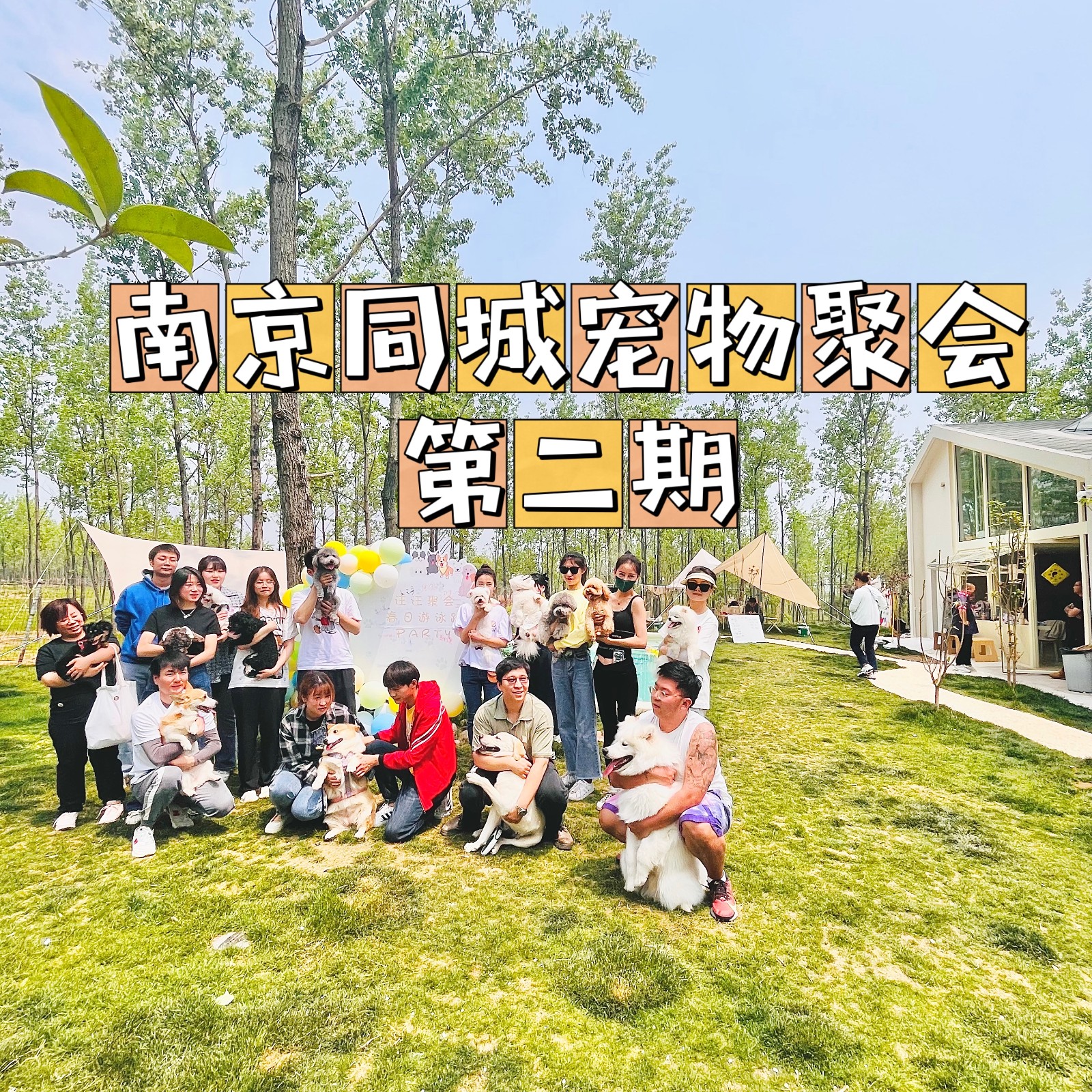 宠物创业项目(宠物行业有哪些值得做的好项目？)