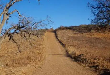 山上的创业项目(6个农村创业好项目)