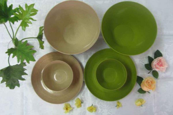 绿色环保节能创业项目(大学生环保节能创业项目)