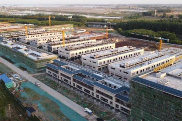 淮南创业项目(安徽淮南硕士王磊磊养殖山鸡创业致富)