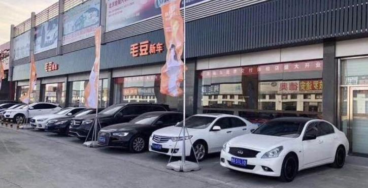 毛豆新车创业项目(毛豆新车如何代理？)